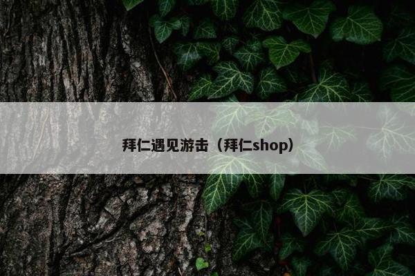拜仁遇见游击（拜仁shop）