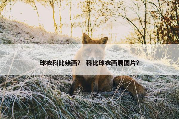 球衣科比绘画？ 科比球衣画展图片？