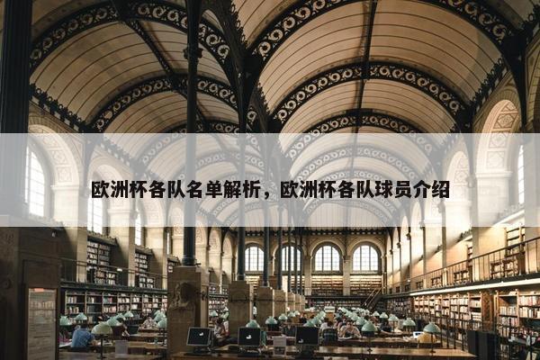 欧洲杯各队名单解析，欧洲杯各队球员介绍