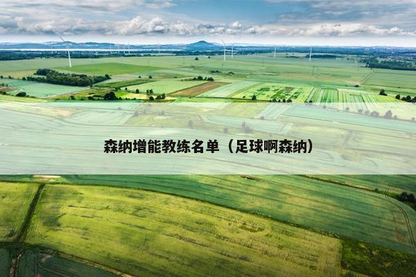 森纳增能教练名单（足球啊森纳）