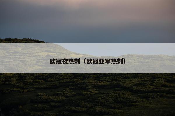 欧冠夜热刺（欧冠亚军热刺）