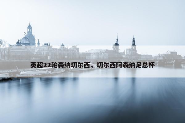 英超22轮森纳切尔西，切尔西阿森纳足总杯