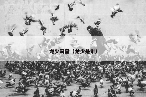龙少马皇（龙少是谁）