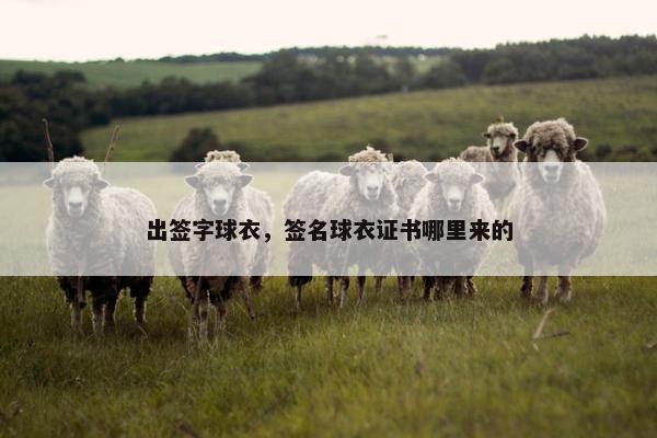 出签字球衣，签名球衣证书哪里来的