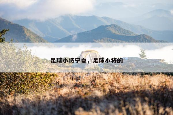 足球小将宁夏，足球小将的