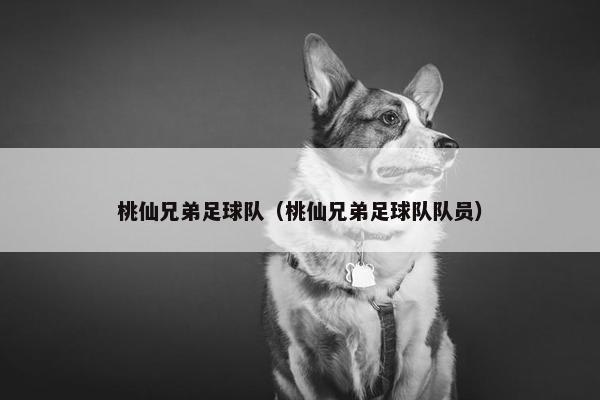 桃仙兄弟足球队（桃仙兄弟足球队队员）