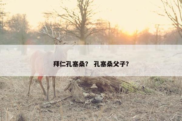 拜仁孔塞桑？ 孔塞桑父子？