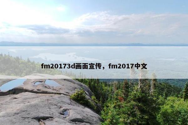 fm20173d画面宣传，fm2017中文