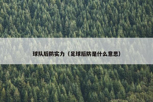 球队后防实力（足球后防是什么意思）