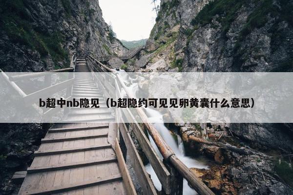 b超中nb隐见（b超隐约可见见卵黄囊什么意思）