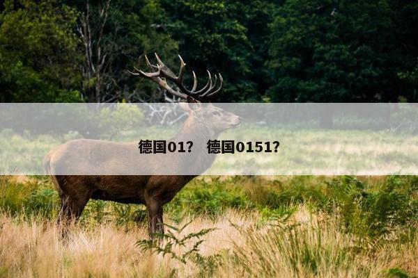 德国01？ 德国0151？