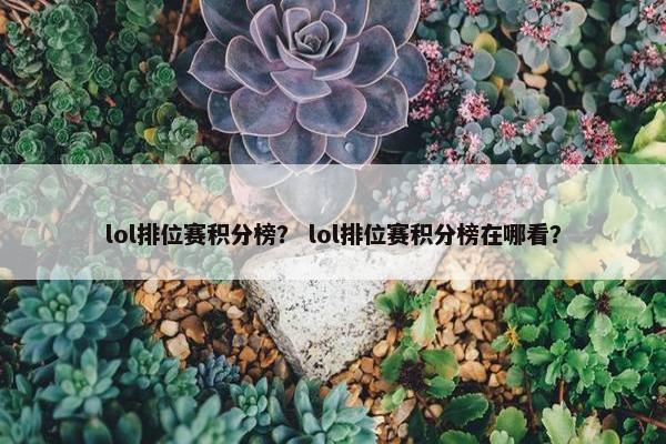 lol排位赛积分榜？ lol排位赛积分榜在哪看？