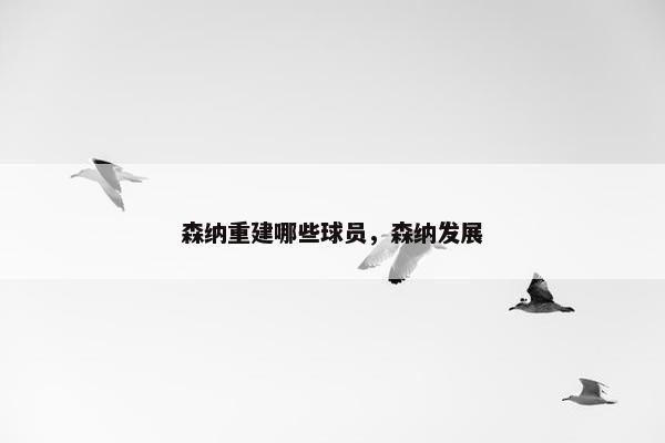 森纳重建哪些球员，森纳发展