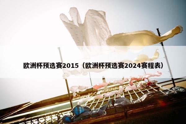 欧洲杯预选赛2015（欧洲杯预选赛2024赛程表）