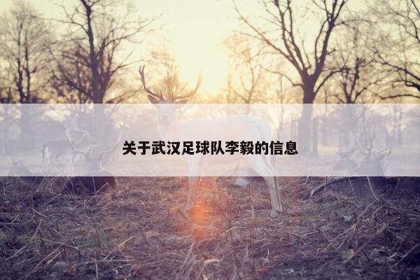 关于武汉足球队李毅的信息