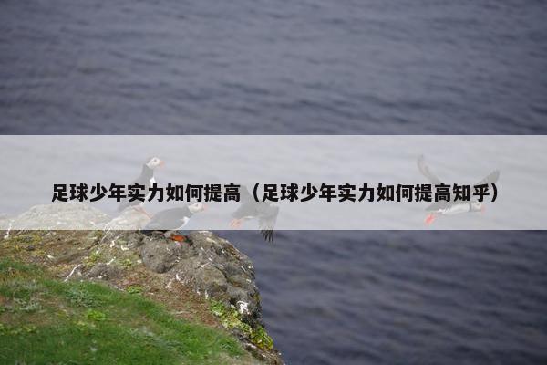 足球少年实力如何提高（足球少年实力如何提高知乎）