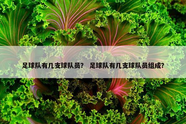 足球队有几支球队员？ 足球队有几支球队员组成？