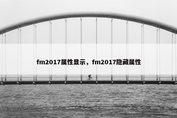 fm2017属性显示，fm2017隐藏属性