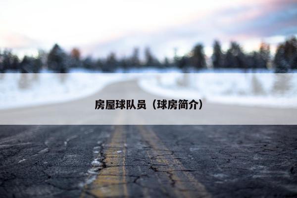 房屋球队员（球房简介）