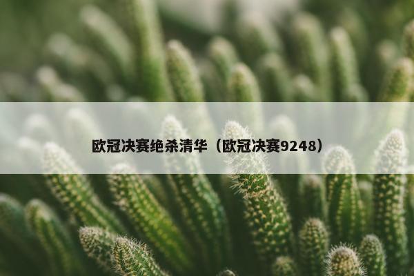 欧冠决赛绝杀清华（欧冠决赛9248）