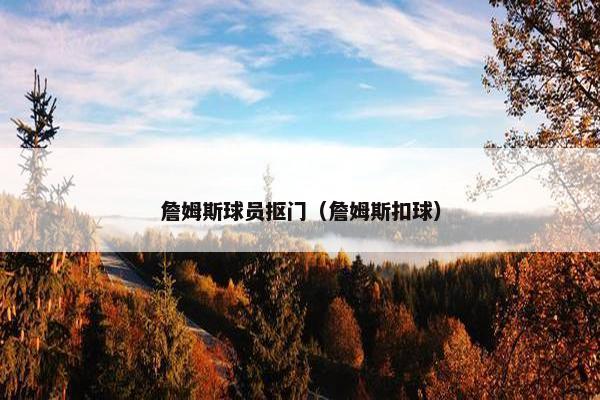 詹姆斯球员抠门（詹姆斯扣球）