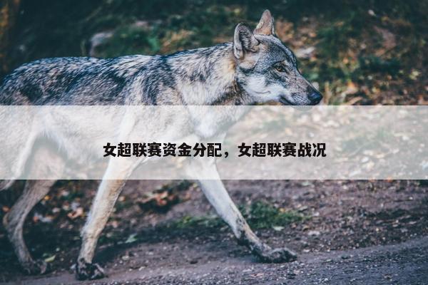 女超联赛资金分配，女超联赛战况