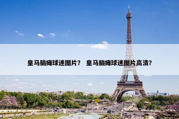 皇马脑瘫球迷图片？ 皇马脑瘫球迷图片高清？