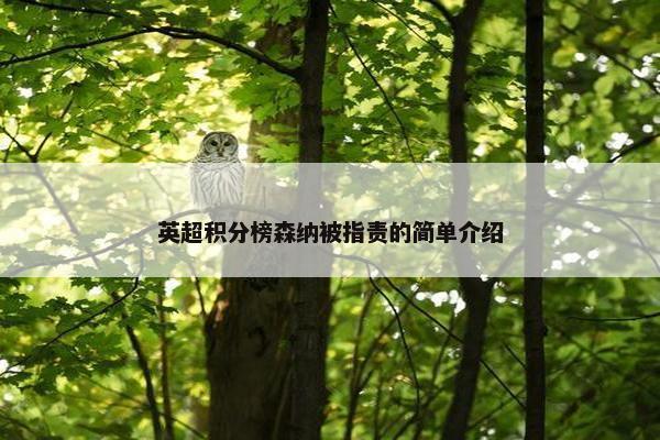 英超积分榜森纳被指责的简单介绍