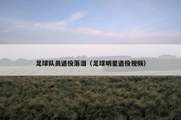 足球队员退役落泪（足球明星退役视频）