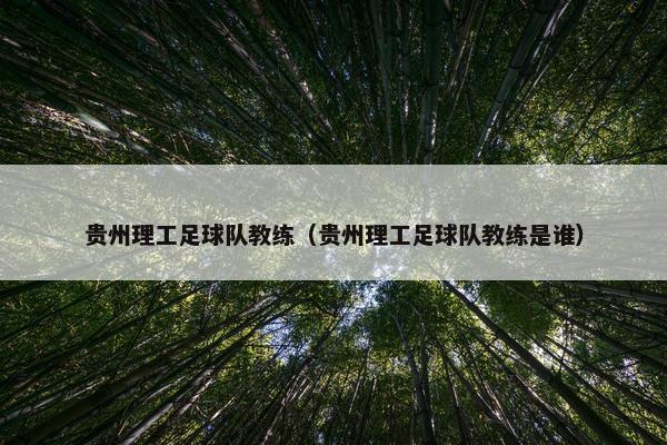 贵州理工足球队教练（贵州理工足球队教练是谁）