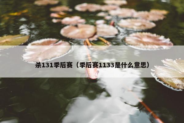 杀131季后赛（季后赛1133是什么意思）