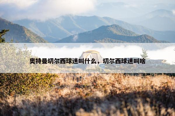 奥特曼切尔西球迷叫什么，切尔西球迷叫啥