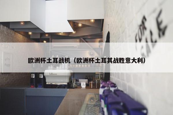 欧洲杯土耳战机（欧洲杯土耳其战胜意大利）