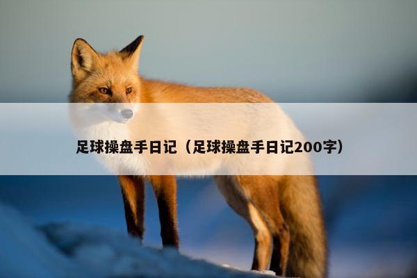 足球操盘手日记（足球操盘手日记200字）