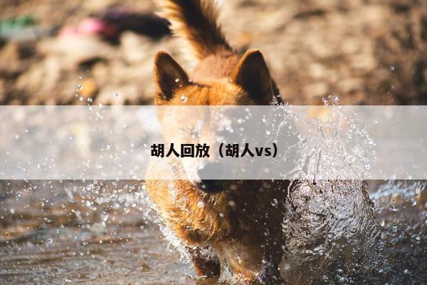 胡人回放（胡人vs）