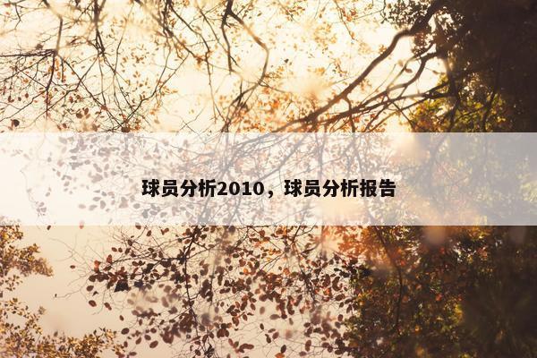 球员分析2010，球员分析报告