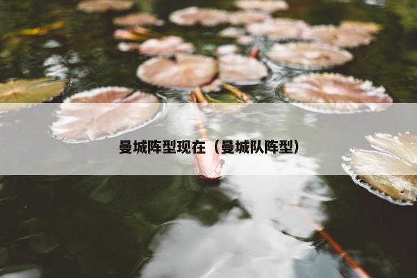 曼城阵型现在（曼城队阵型）