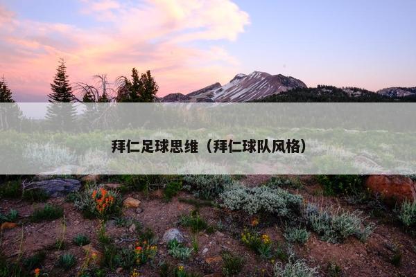 拜仁足球思维（拜仁球队风格）