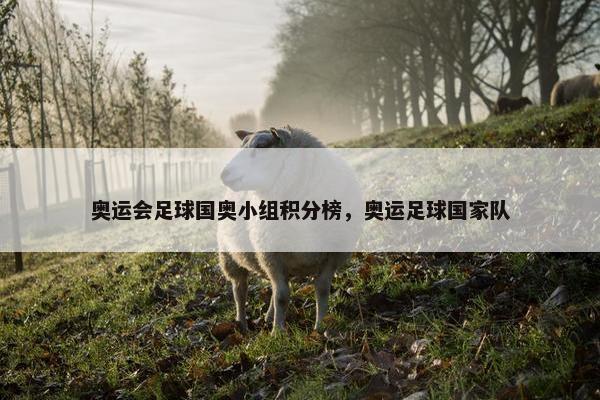 奥运会足球国奥小组积分榜，奥运足球国家队