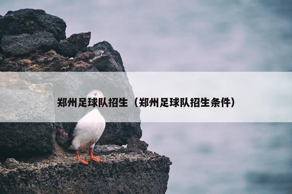 郑州足球队招生（郑州足球队招生条件）