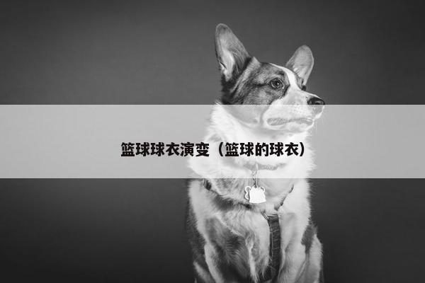 篮球球衣演变（篮球的球衣）