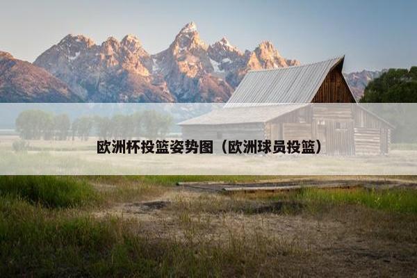 欧洲杯投篮姿势图（欧洲球员投篮）