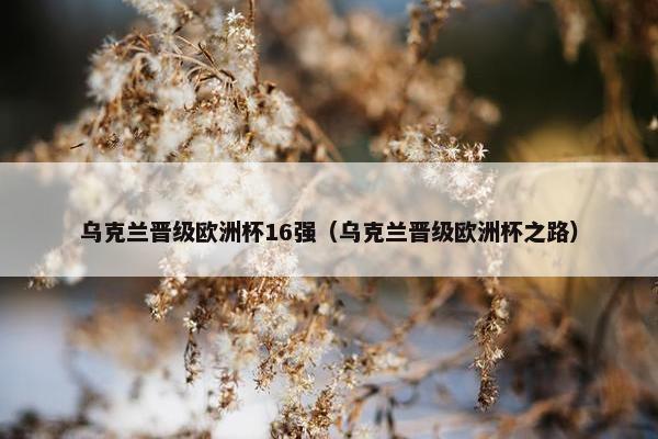 乌克兰晋级欧洲杯16强（乌克兰晋级欧洲杯之路）