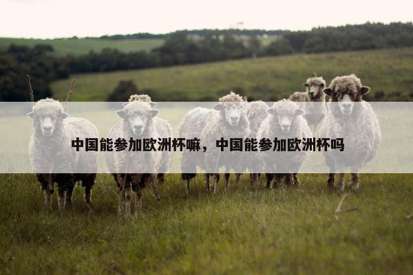 中国能参加欧洲杯嘛，中国能参加欧洲杯吗