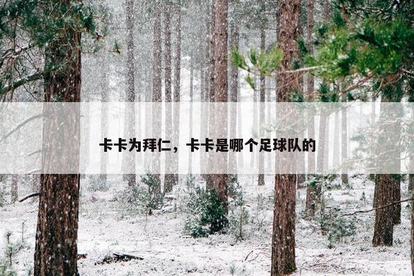 卡卡为拜仁，卡卡是哪个足球队的