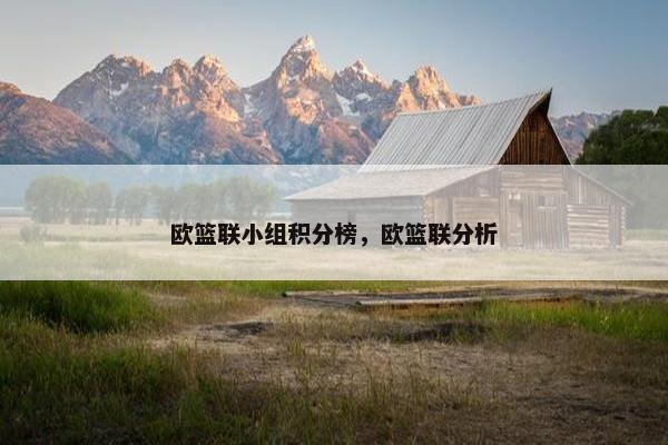 欧篮联小组积分榜，欧篮联分析