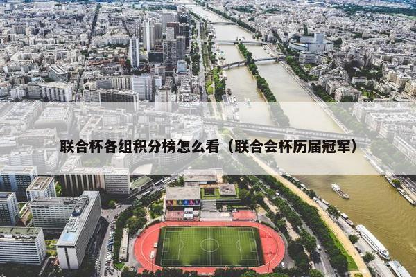 联合杯各组积分榜怎么看（联合会杯历届冠军）