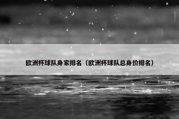 欧洲杯球队身家排名（欧洲杯球队总身价排名）