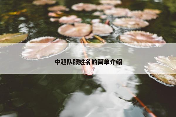 中超队服姓名的简单介绍