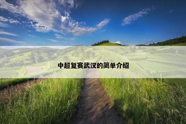 中超复赛武汉的简单介绍